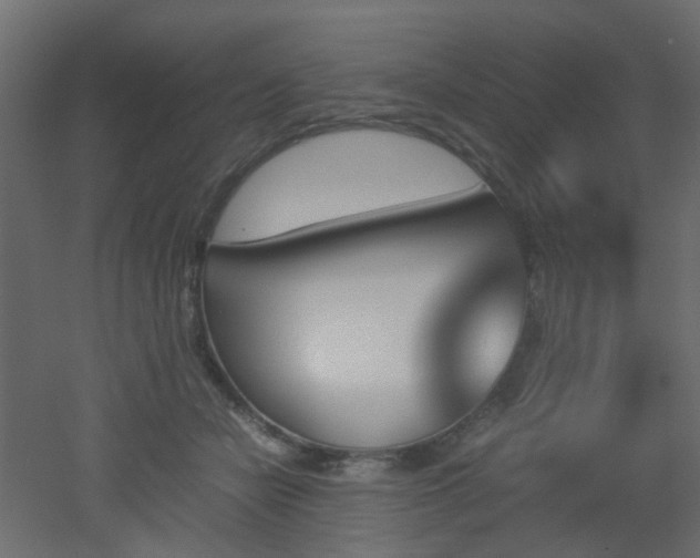 X0000051910462200506241447