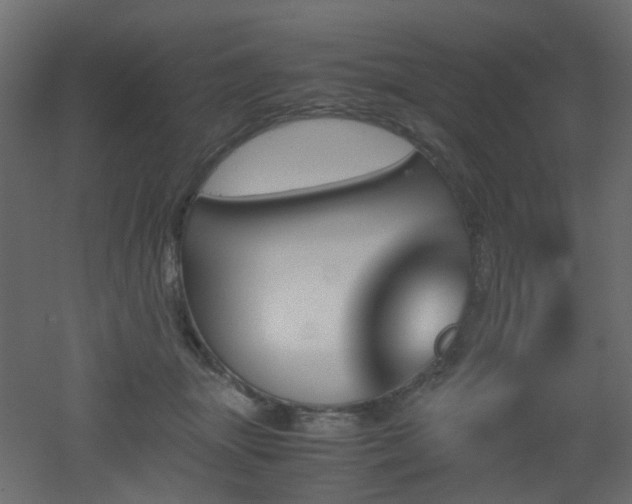 X0000051910463200506241447