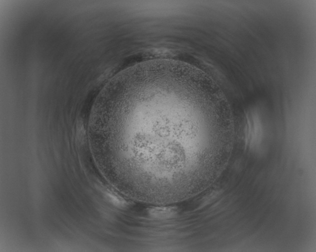 X0000051910465200506241447