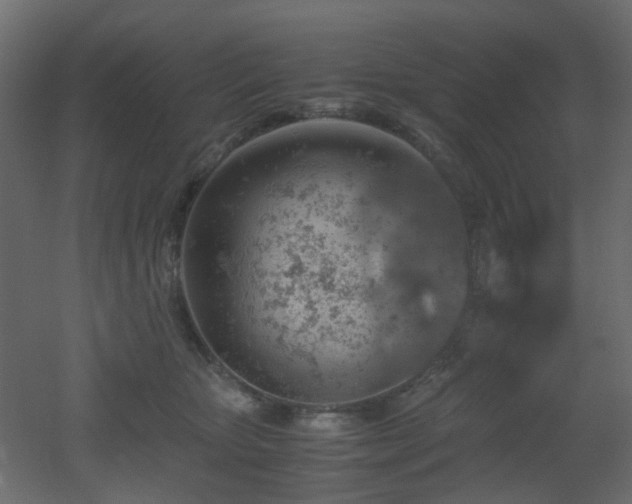 X0000051910467200506241447