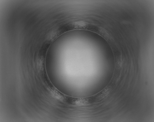 X0000051910468200506241447