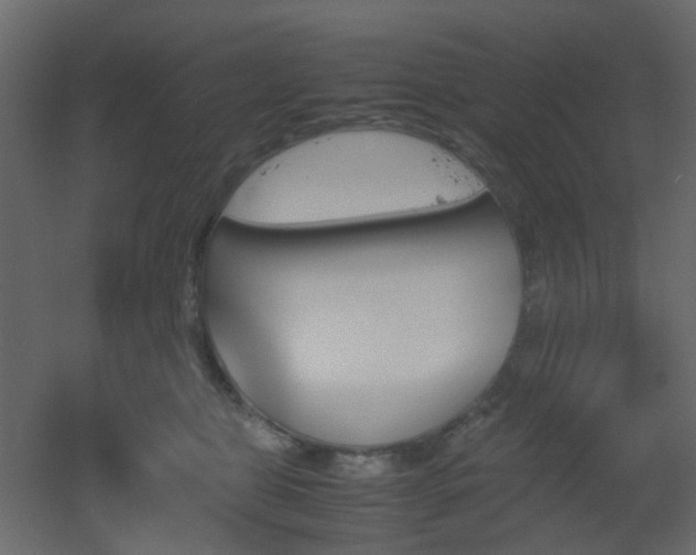 X0000051910469200506241447