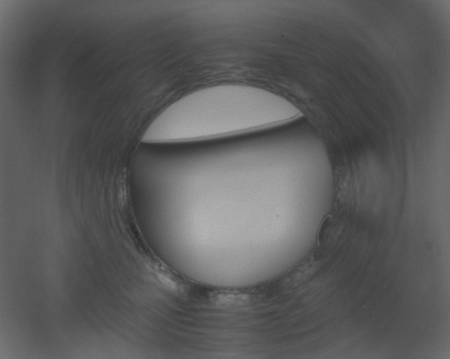 X0000051910471200506241447