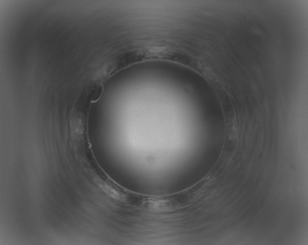 X0000051910472200506241447