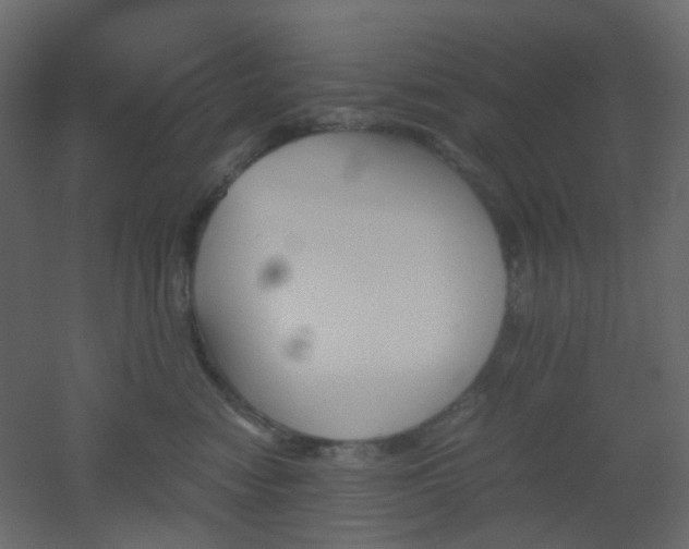 X0000051910474200506241447