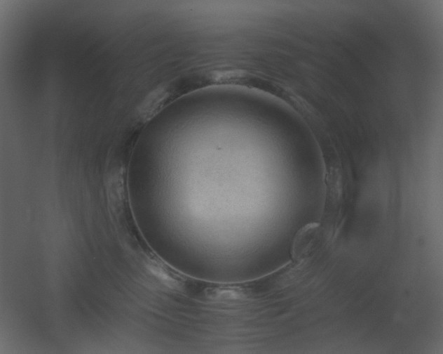 X0000051910475200506241447