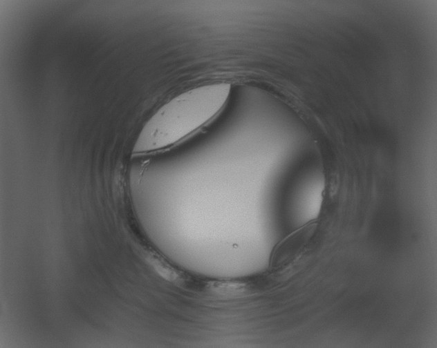 X0000051910476200506241447