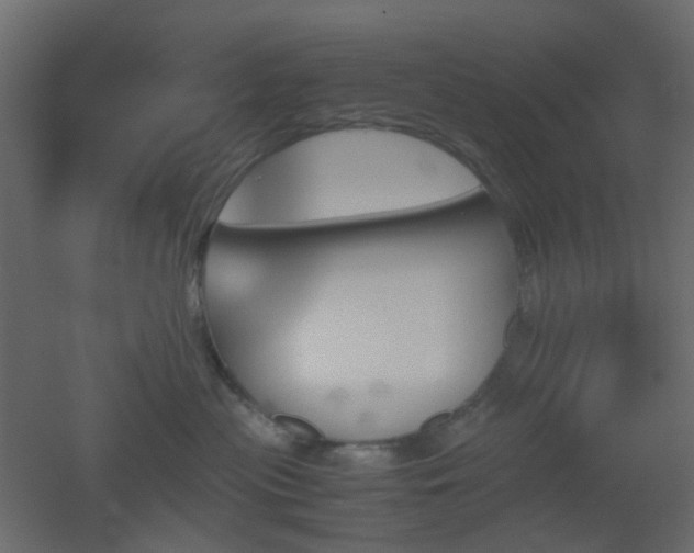 X0000051910477200506241448