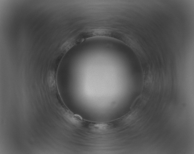 X0000051910478200506241448