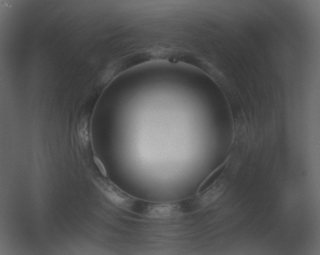 X0000051910479200506241448