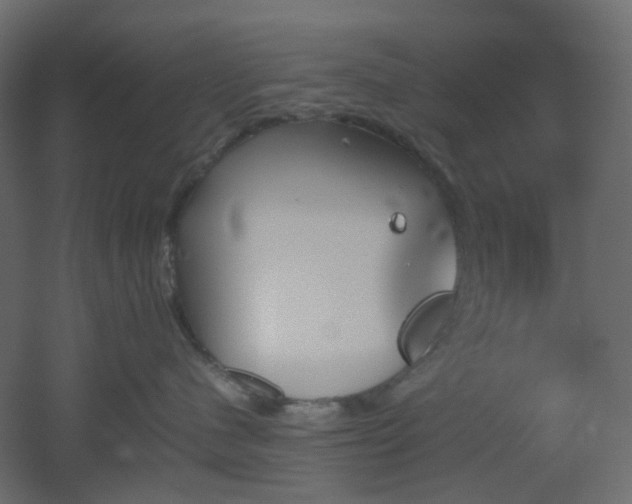 X0000051910480200506241448