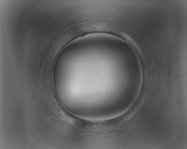 X0000051910481200506241447