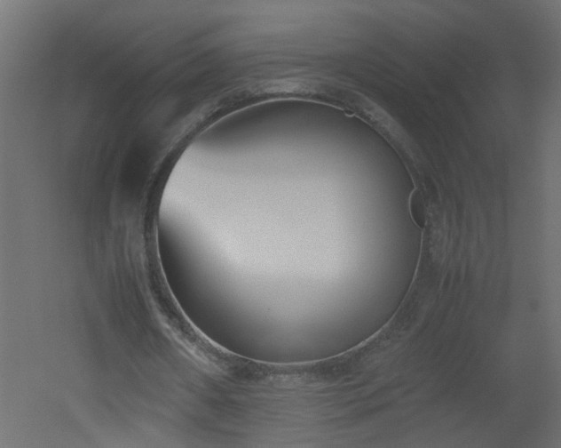 X0000051910482200506241447