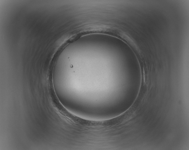 X0000051910483200506241447