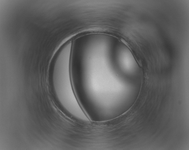 X0000051910484200506241447