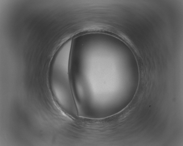 X0000051910485200506241447