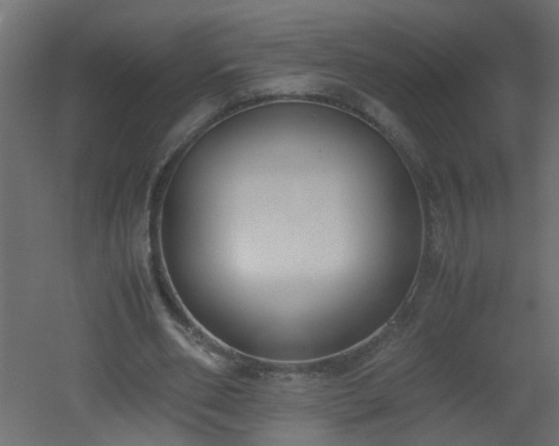 X0000051910486200506241447