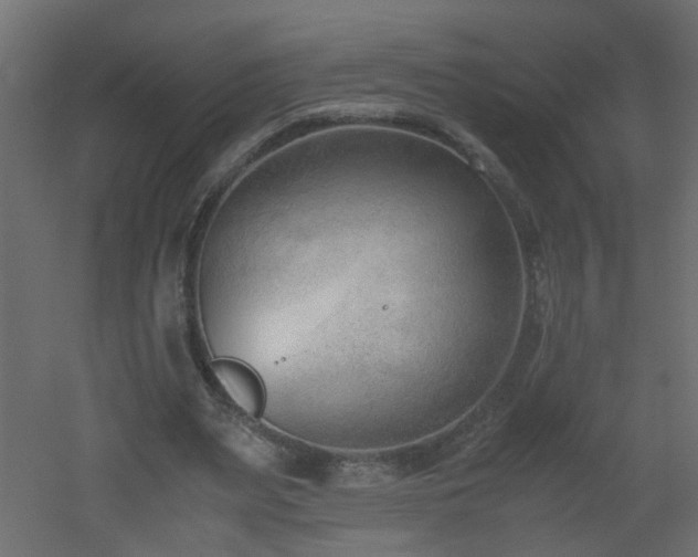 X0000051910487200506241447