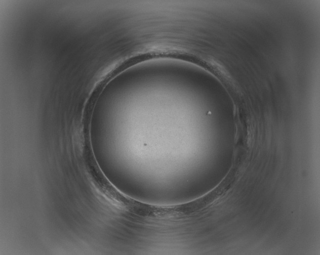 X0000051910488200506241447