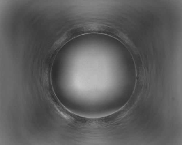 X0000051910489200506241447