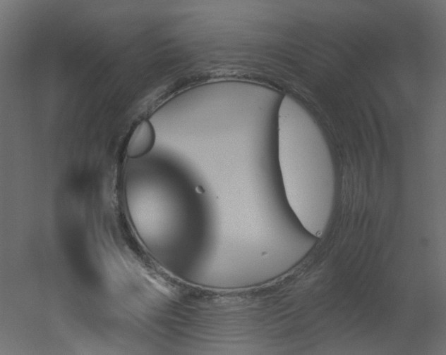 X0000051910490200506241447