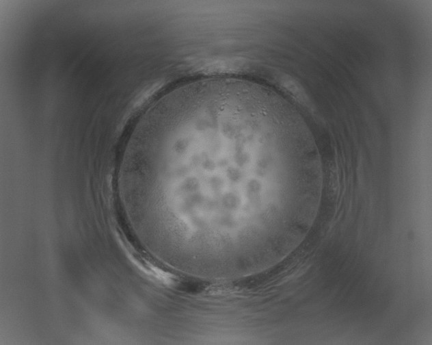 X0000051910491200506241447