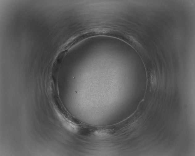 X0000051910492200506241447