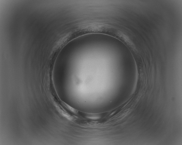 X0000051910493200506241447