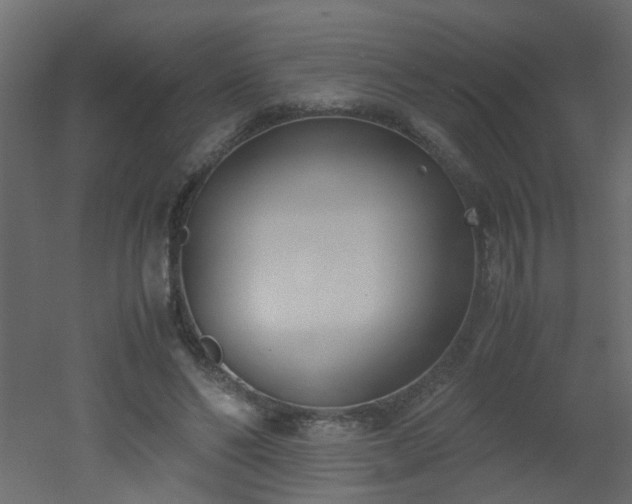 X0000051910494200506241447