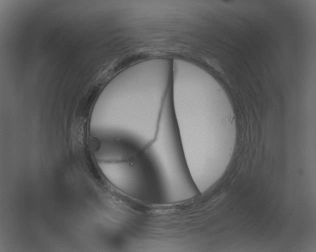 X0000051910495200506241447