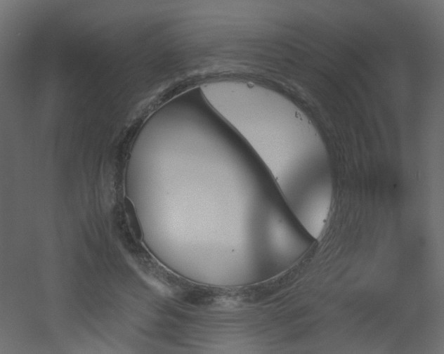 X0000051910496200506241446