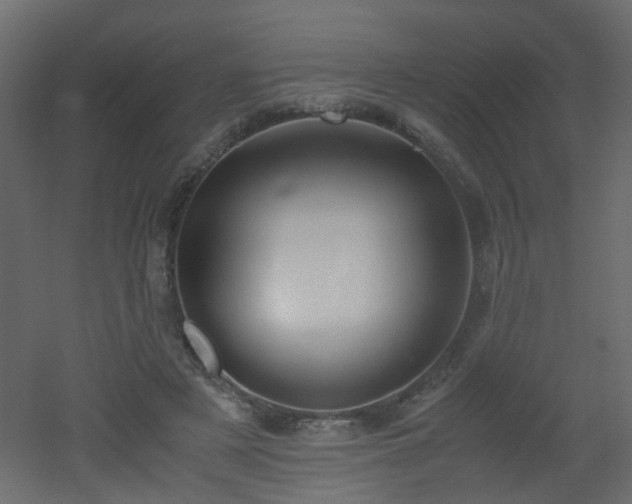 X0000051910497200506241446