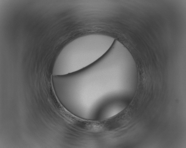 X0000051910498200506241446