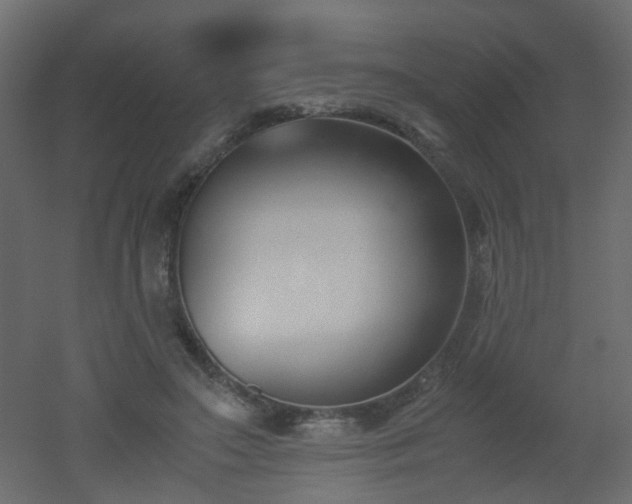 X0000051910499200506241446