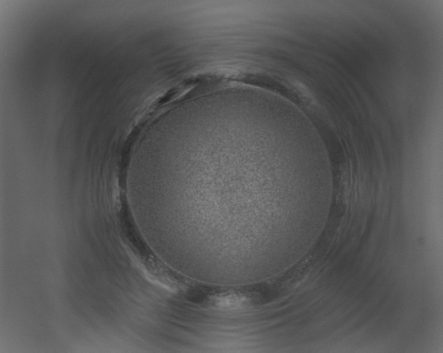 X0000051910500200506241446