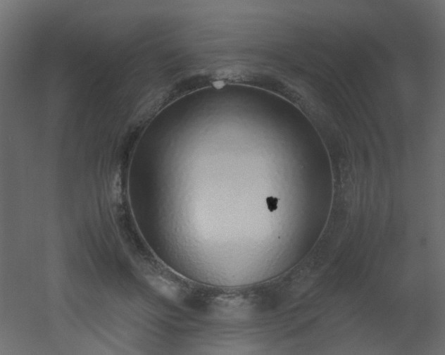 X0000051910502200506241446