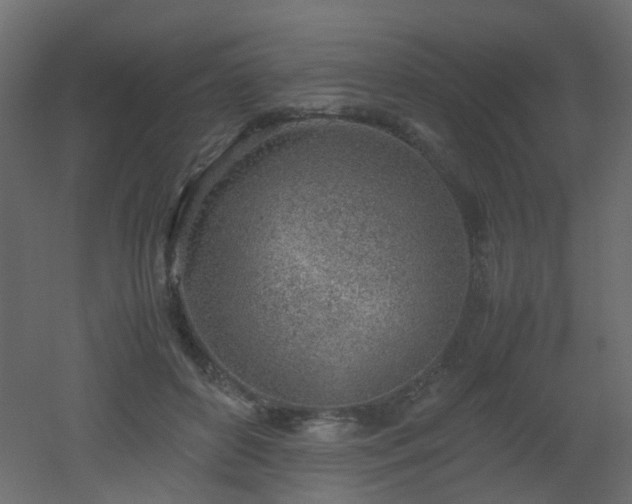 X0000051910504200506241446