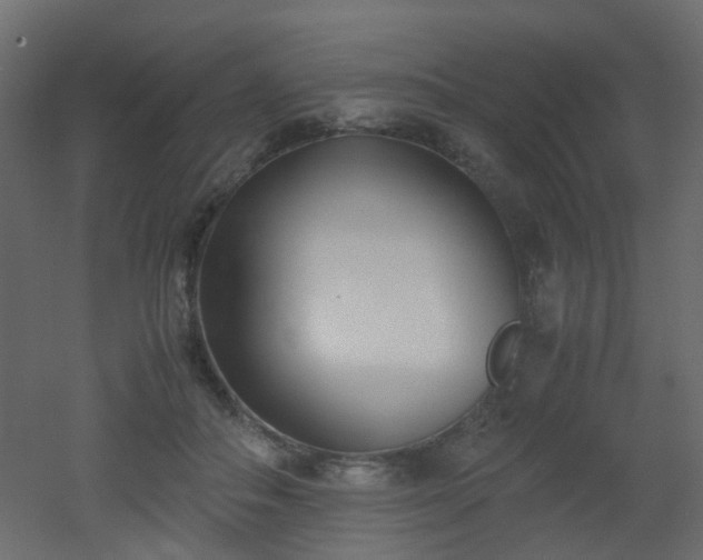 X0000051910506200506241446