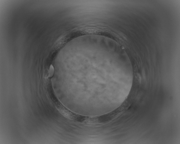 X0000051910507200506241446