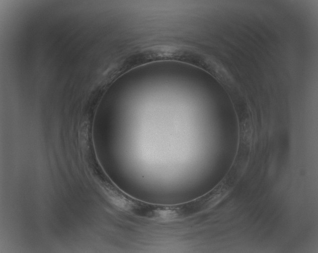 X0000051910509200506241446