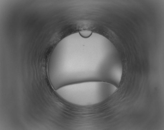 X0000051910510200506241446