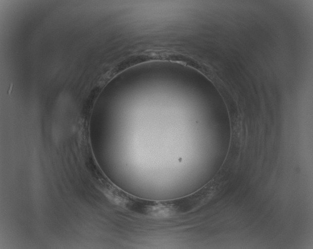 X0000051910511200506241446