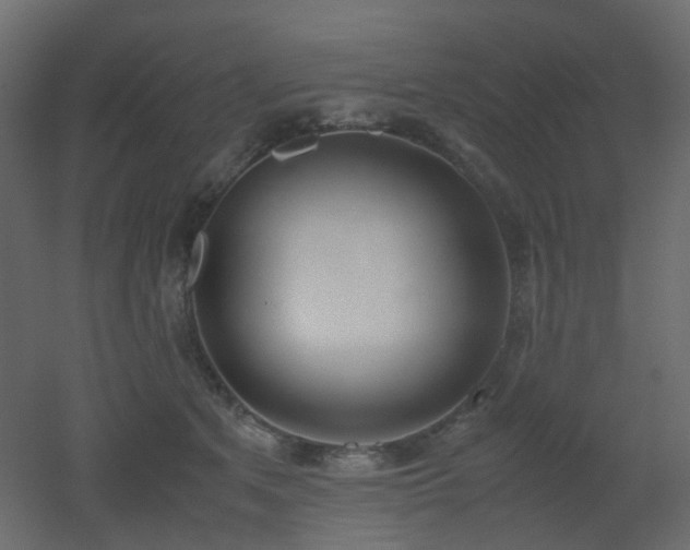 X0000051910513200506241446