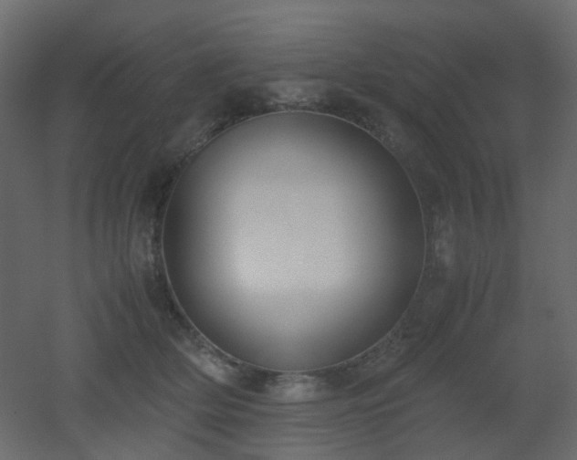 X0000051910514200506241446