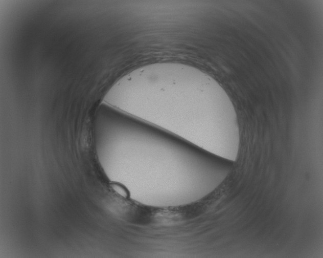 X0000051910515200506241446