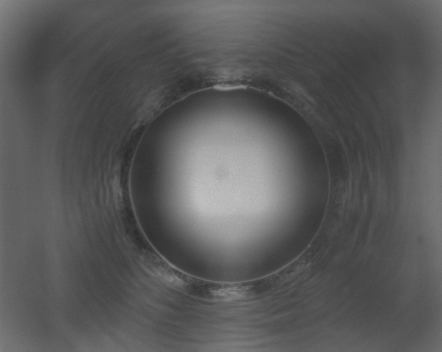 X0000051910516200506241446