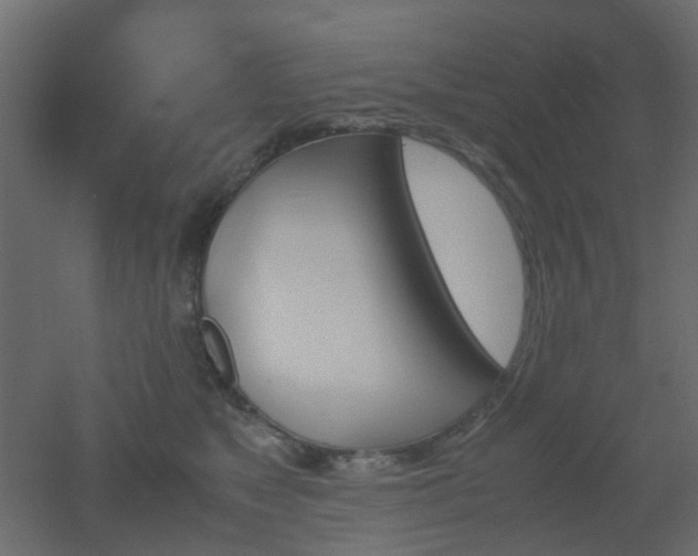 X0000051910517200506241446