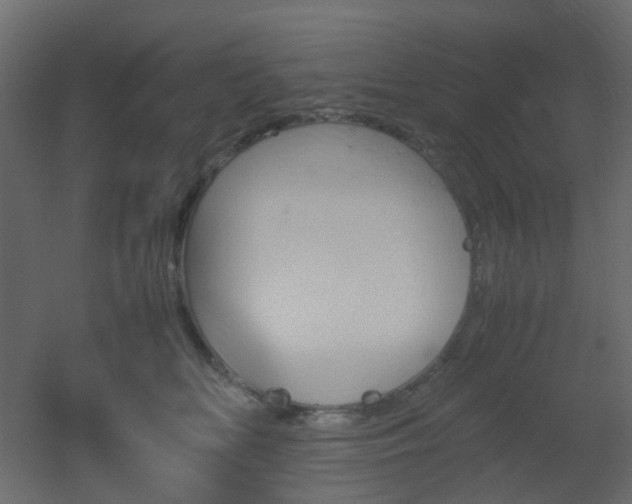 X0000051910518200506241446