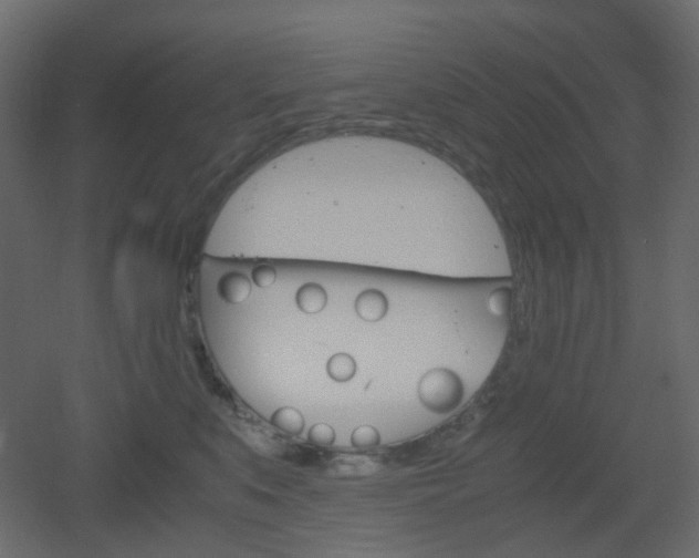 X0000051910519200506241446