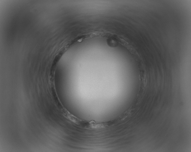 X0000051910520200506241446